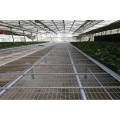 Agricultura Hidropônica Wire Mesh Mobile Seed Cabed